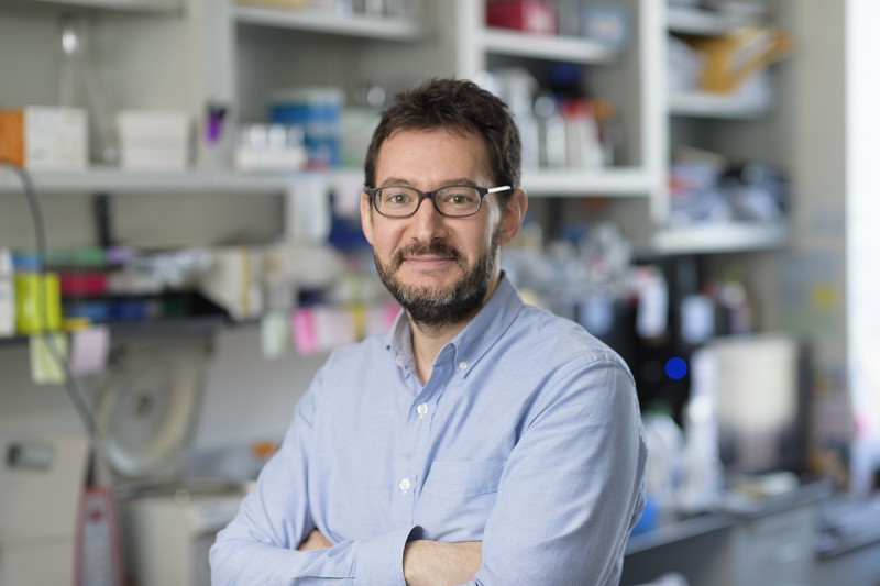 Juan Manuel  Schvartzman
