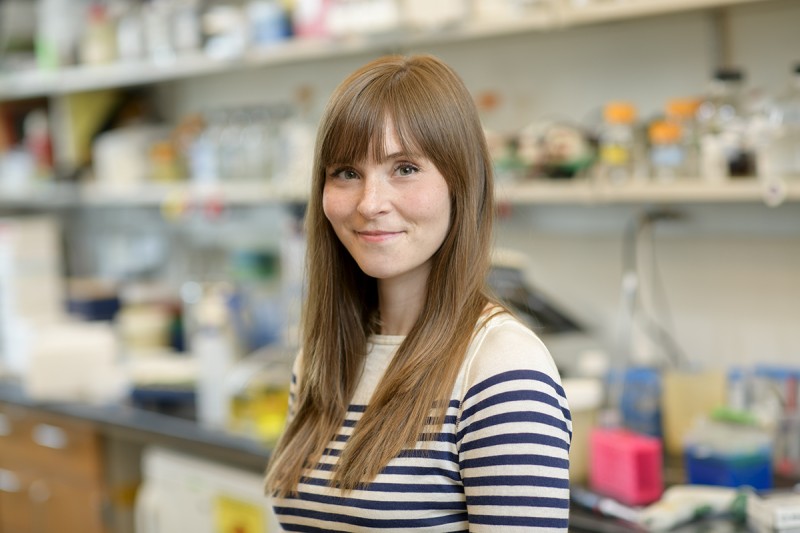 Shauna Houlihan, PhD