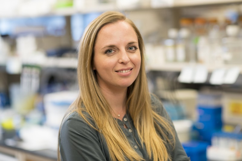 Katerina Hatzi, PhD