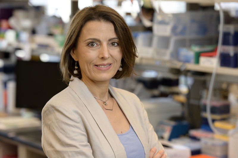Olivera Grbovic-Huezo