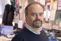 Ladanyi lab