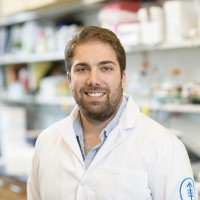 Marcus Ruscetti, PhD