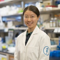 Grace Xiang Li, MS
