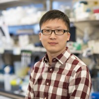 Yu-Jui (Ray) Ho, PhD