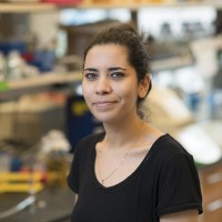 Sena Ahmed-Seghir