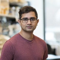 Shyamal Subramanyam
