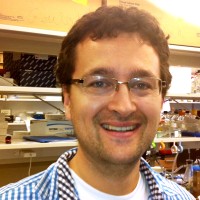 Michael Saborowski, MD