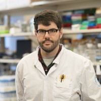 John P. Morris IV, PhD