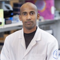 Ahmed Osman