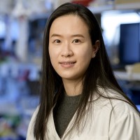 Xin Fang
