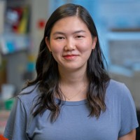 Lucia Wang