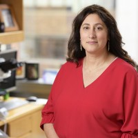 Christine Iacobuzio-Donahue