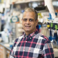 Robert Delsite, PhD